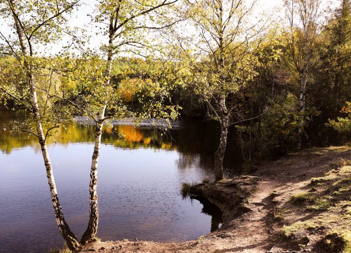 Autumn trail by the lake