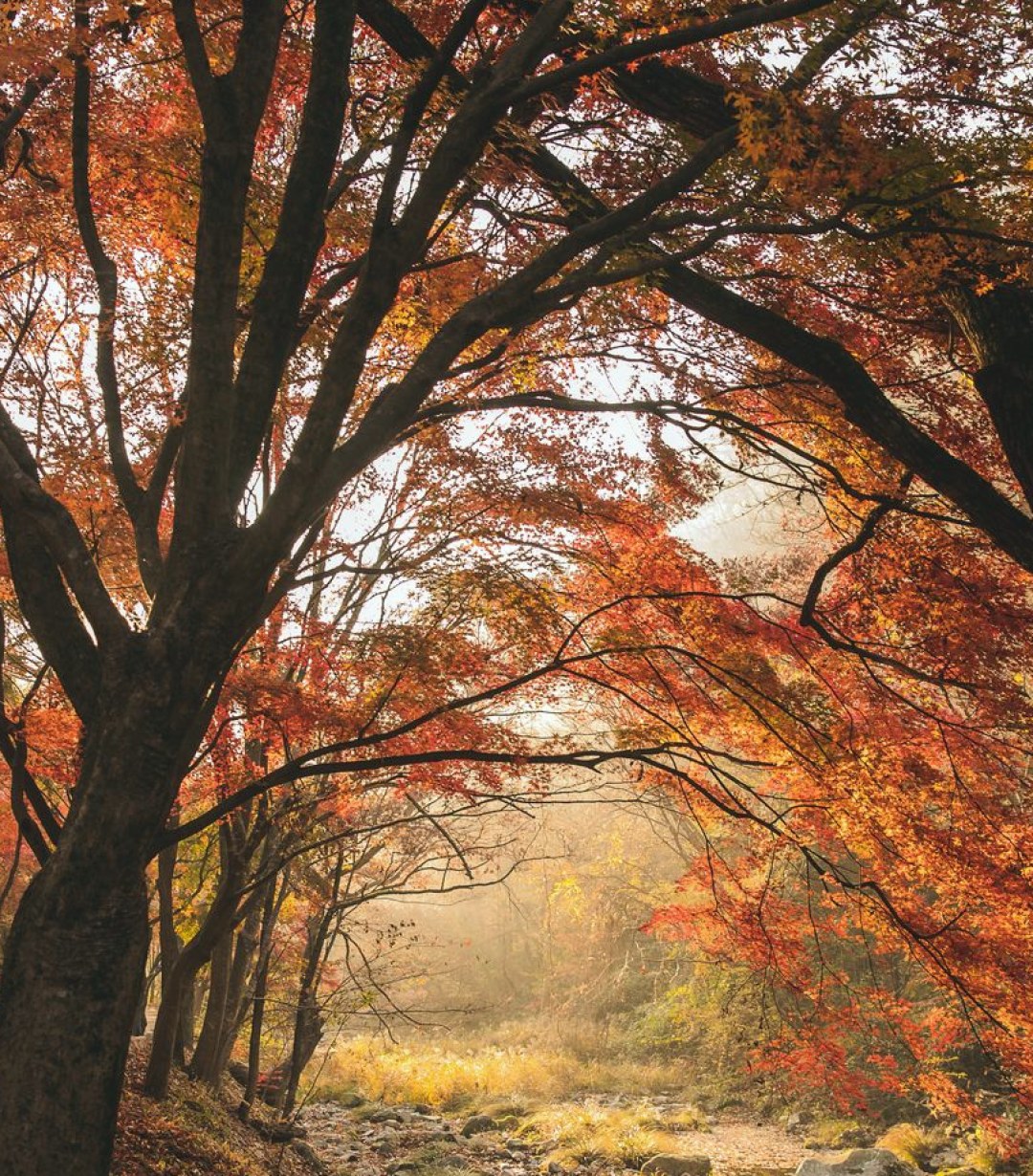 Where to Wander Across Canada as the Autumn Weeks Turn Colder